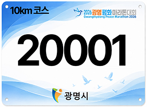 10km �ڽ� �̹���